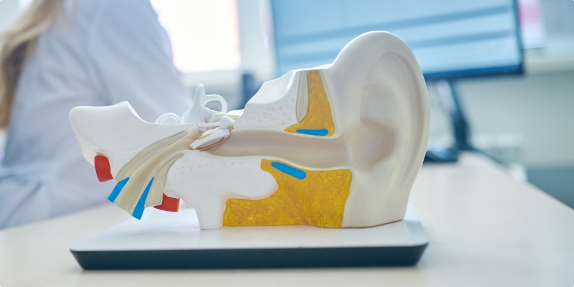 Indian River Hearing Center Blog